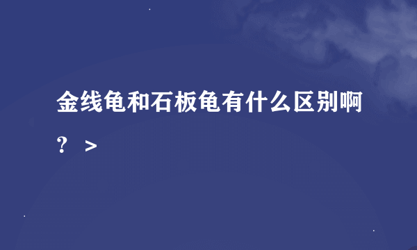 金线龟和石板龟有什么区别啊？＞