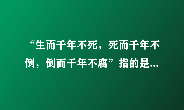 “生而千年不死，死而千年不倒，倒而千年不腐”指的是什么树？