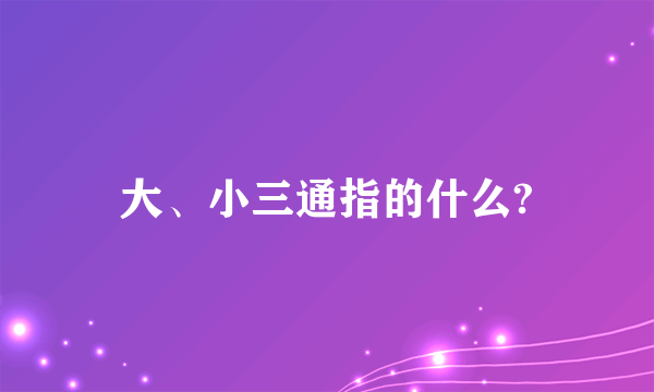 大、小三通指的什么?