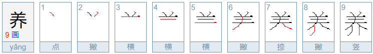 养字部首查字法有两种是什么部首?