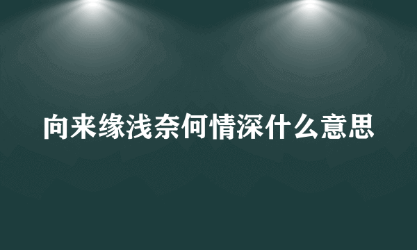 向来缘浅奈何情深什么意思