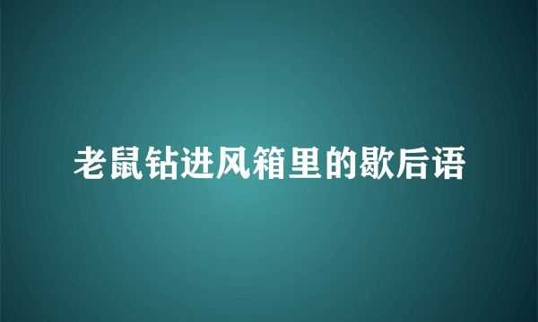 老鼠钻进风箱里的歇后语