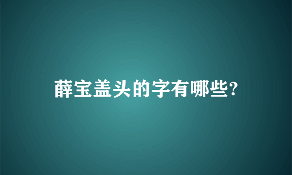 薛宝盖头的字有哪些?