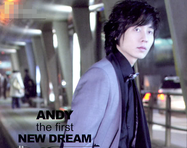 andy什么意思