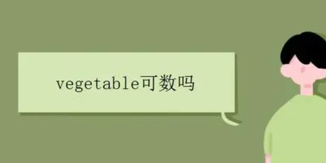 vegetable是可数名词吗