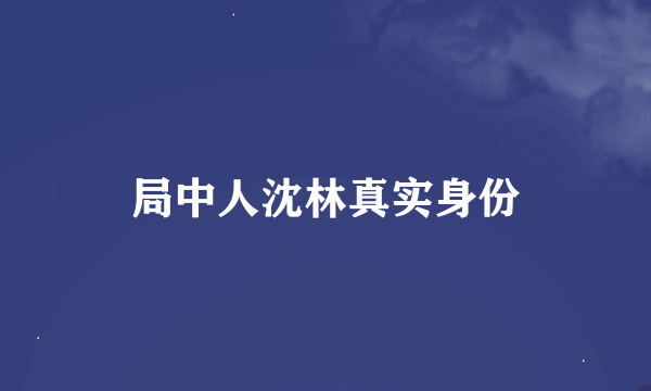 局中人沈林真实身份