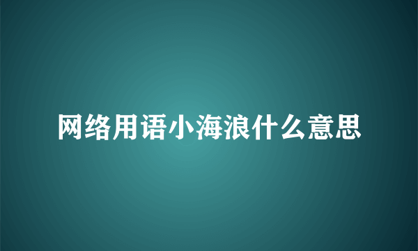 网络用语小海浪什么意思