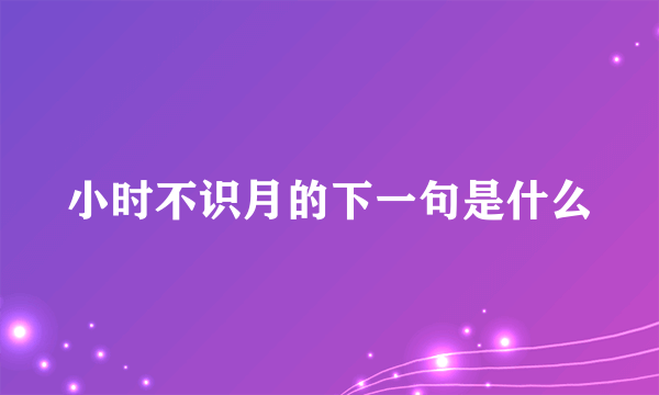 小时不识月的下一句是什么