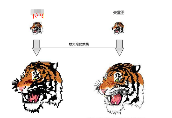 矢量图与位图的区别