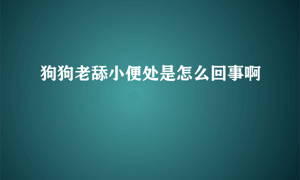 狗狗老舔小便处是怎么回事啊