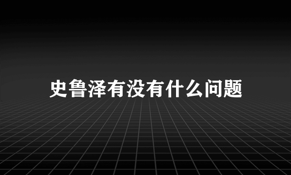 史鲁泽有没有什么问题