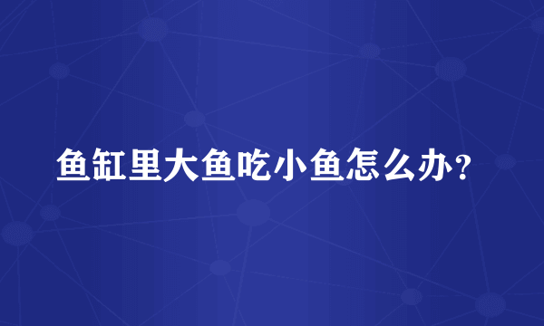 鱼缸里大鱼吃小鱼怎么办？