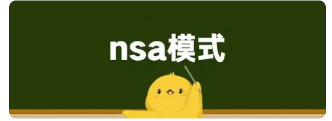 nsa模式是什么意思?