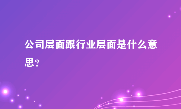 公司层面跟行业层面是什么意思？