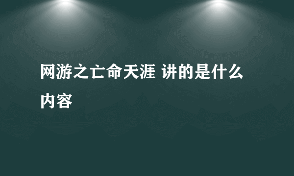 网游之亡命天涯 讲的是什么内容