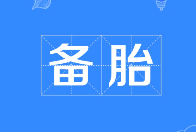 备胎什么意思