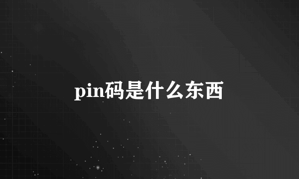 pin码是什么东西