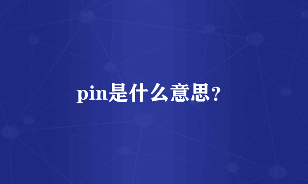 pin是什么意思？