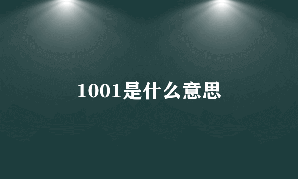 1001是什么意思