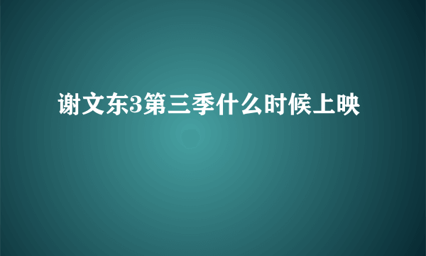 谢文东3第三季什么时候上映