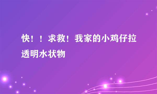 快！！求救！我家的小鸡仔拉透明水状物