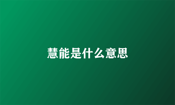 慧能是什么意思