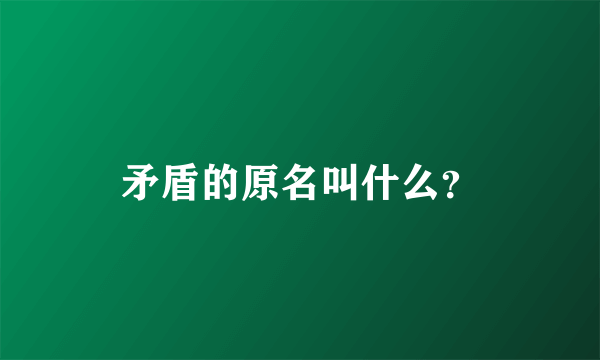 矛盾的原名叫什么？