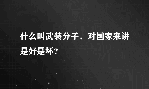 什么叫武装分子，对国家来讲是好是坏？