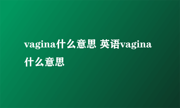 vagina什么意思 英语vagina什么意思