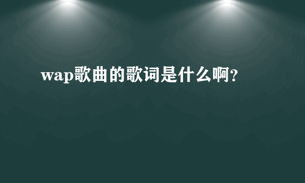 wap歌曲的歌词是什么啊？