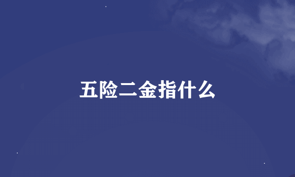 五险二金指什么