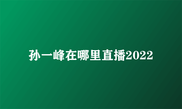 孙一峰在哪里直播2022