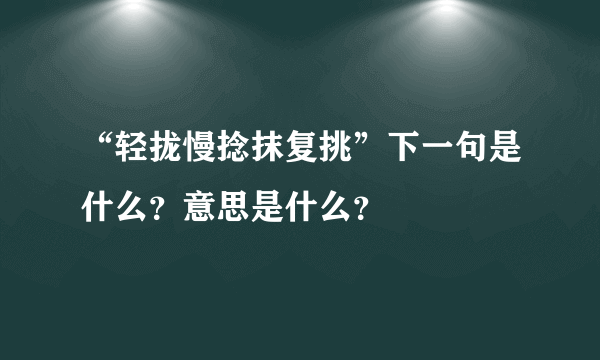 “轻拢慢捻抹复挑”下一句是什么？意思是什么？