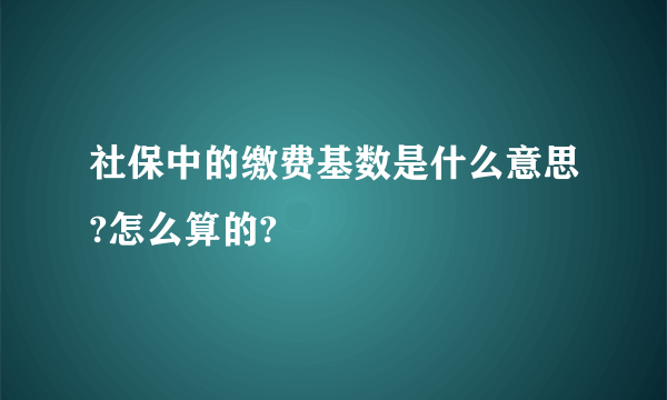 社保中的缴费基数是什么意思?怎么算的?