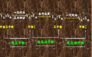 影响化学平衡的因素