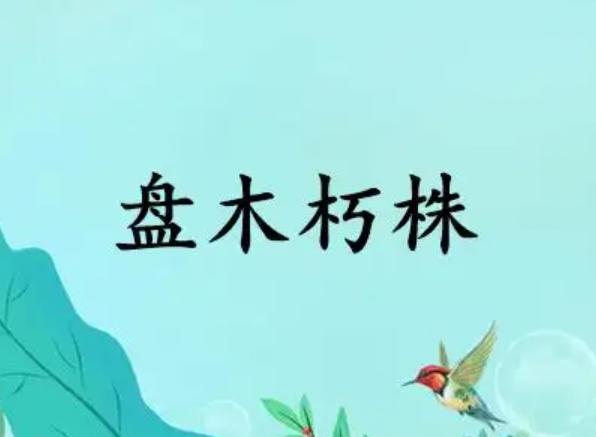 盘木朽株什么意思