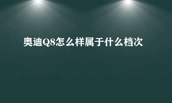 奥迪Q8怎么样属于什么档次