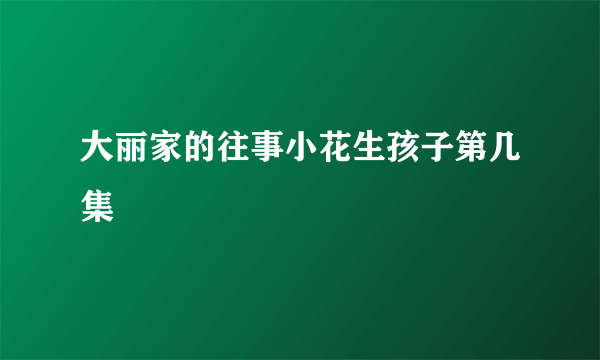 大丽家的往事小花生孩子第几集