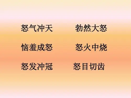 怒字组词