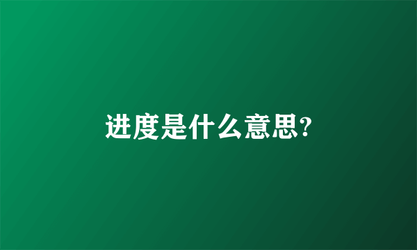 进度是什么意思?