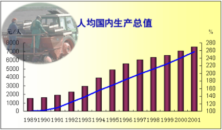 国内生产总值的英文是什么？