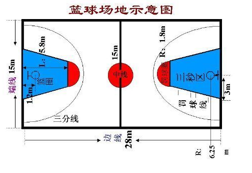 标准篮球场尺寸