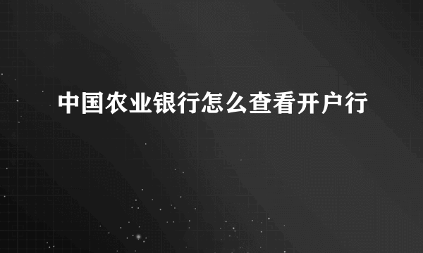 中国农业银行怎么查看开户行