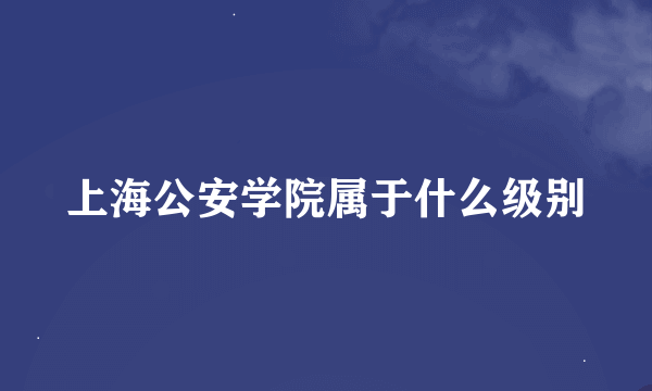 上海公安学院属于什么级别