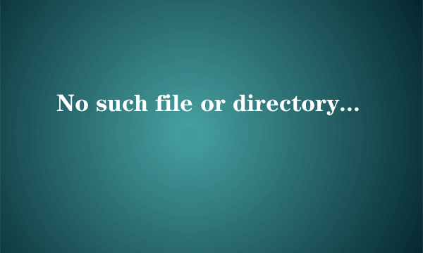 No such file or directory 为什么