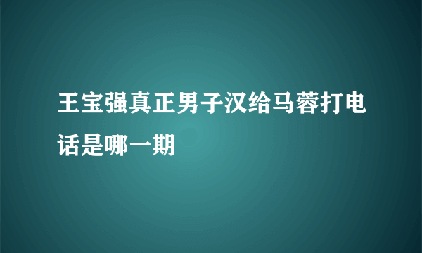 王宝强真正男子汉给马蓉打电话是哪一期