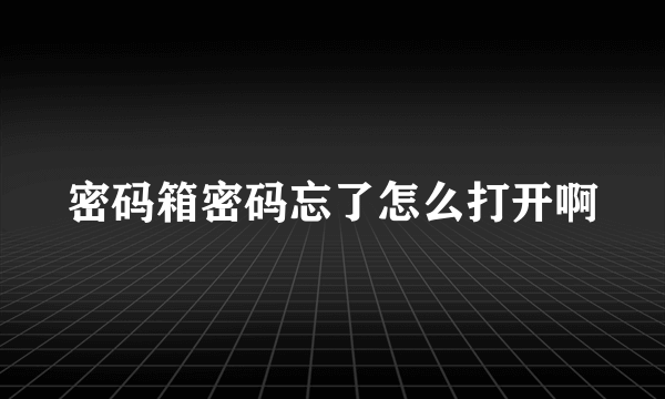 密码箱密码忘了怎么打开啊