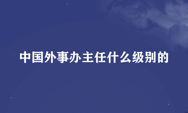 中国外事办主任什么级别的