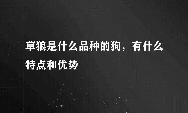 草狼是什么品种的狗，有什么特点和优势