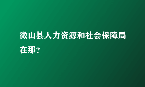 微山县人力资源和社会保障局在那？